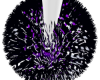 DEA Pompoms