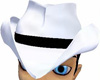 **SA71**White Cowboy hat