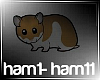 |Hamster Song Pt1|