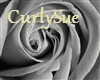 CurlySue~BlackPurp~