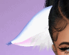 Cat Ears White