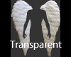 Transparent Male Angel