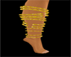 {AA} gold leg bands R