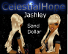 Sand Dollar Jashley