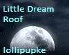 Little Dream Roof