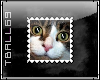 Cat Face Stamp