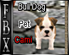 Bull Dog Cami Pet