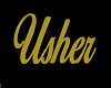 Usher Floor Marker