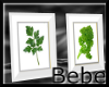 Lakeside Herb Images