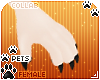 [Pets] Frankie | claws