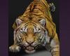Animated Tiger Halloween Costumes Big Cats Jungle Roaring Animal