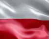 *S Polish Flag Animated
