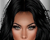 Catsis Black