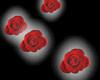 *Q Floating Red Roses