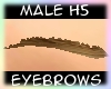 [Male H5] Brown Eyebrows