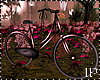 Dark Pink Bicycle Poses