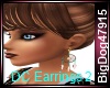 [BD] DC Earrings 2