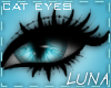 Blue Eyes-2 *Luna