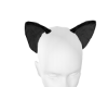 [S]Raccoon Ears