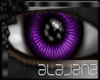 [Ala]M Delight purple