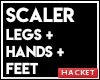 H@K Realistic Scaler
