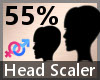 Head Scaler 55% F A