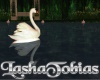 Animated swan