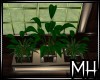 [MH] LF Trio Plants