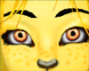 Lemon Kitten Eyes F