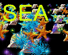 Sea Effect DJ