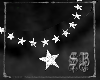 SB Star Necklace 2