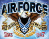 Airforce Plaque
