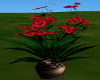 ~LS~ Red Flowers