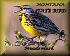 MONTANA STATE BIRD