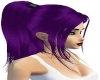 Alana Purple