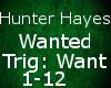 Hunter Hayes Wanted Dub