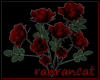 +rose red