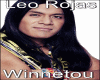 Winnetou (Cover)