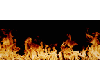 five animated fires