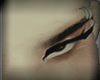 Perfect Eyeliner