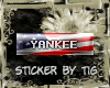 Yankee (American)