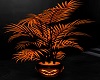 Hallowwen Plant