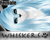 Whiskers :Frost Hair F1
