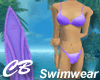 CB Purple Bikini