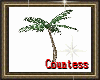 [C]COCONUT TREE