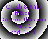 Crush&NYD-DesiredIllusi1