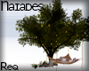 N| Tree Swing