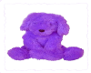 lavender pup