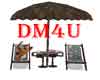 Beach Umbrella  Chairs