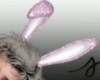 𝓼* bunny ears pink